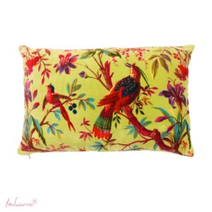 Imbarro - Sierkussen - Kussen - Apple -Groen - Paradise - 40x60cm