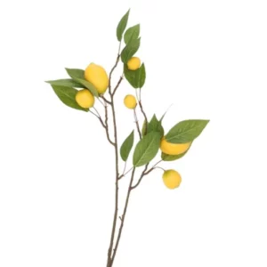 Daan Kromhout - Kunstbloem kunsttak - Citrusfruit - Tak - Citroen - 80 cm - Kunst zijdebloemen