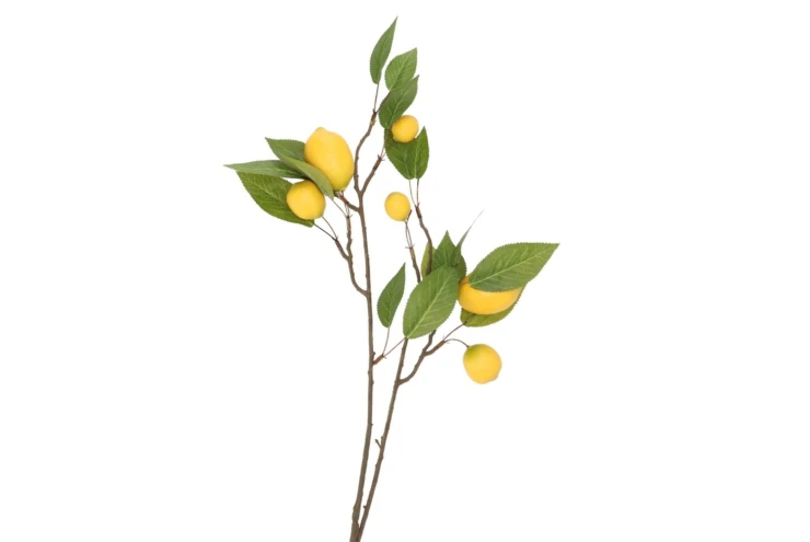 Daan Kromhout - Kunstbloem kunsttak - Citrusfruit - Tak - Citroen - 80 cm - Kunst zijdebloemen
