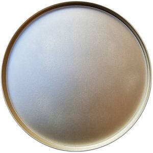 Daan Kromhout - Dienblad - Tray - Plate - Goud - Metaal - 46x2cm
