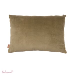 Imbarro - Sierkussen - Kussen - Saar - Green - Velvet - 40 x 60 cm - Groen